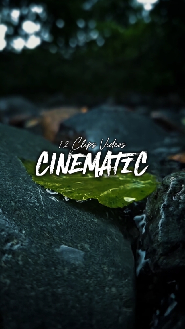 12 Clips Cinematic