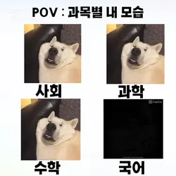 요즘 유행하는거