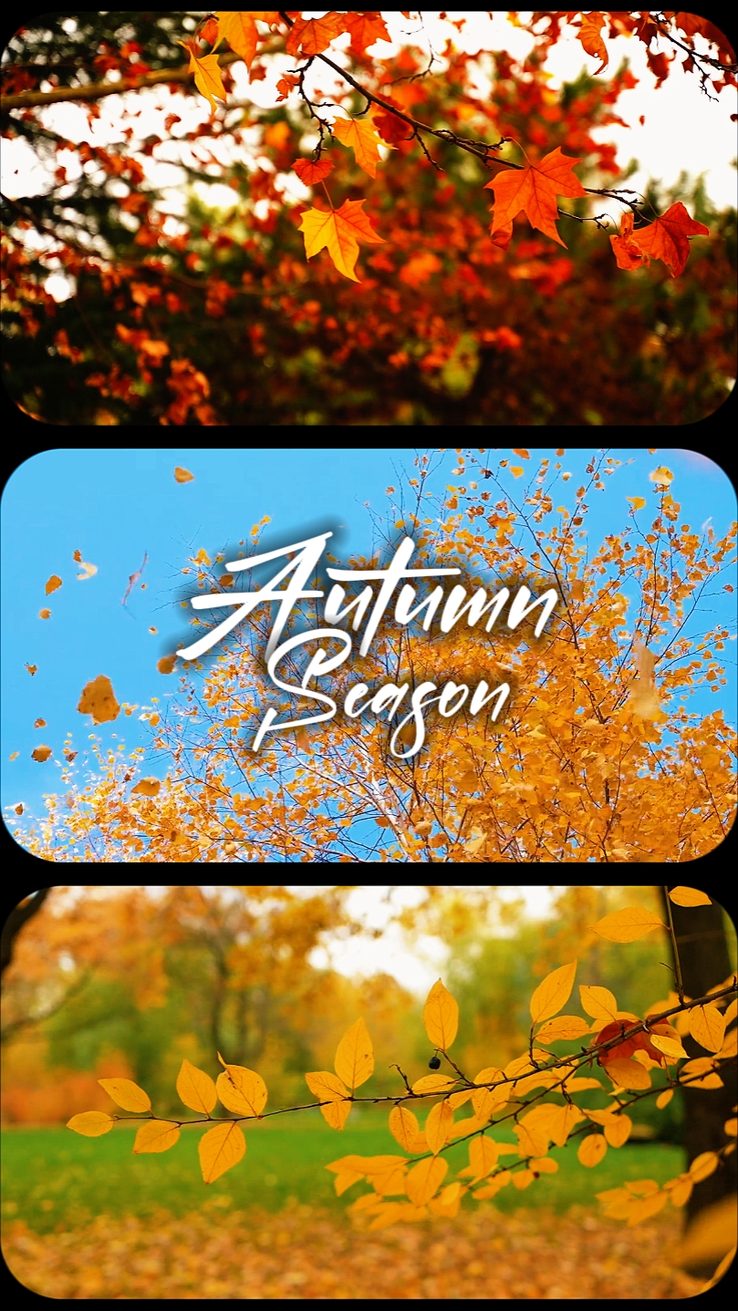 Autumn Season