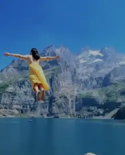 FLY EFFECT FILTER