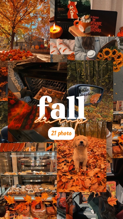 Herbst Foto Vlog