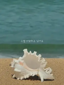 The moment my heart