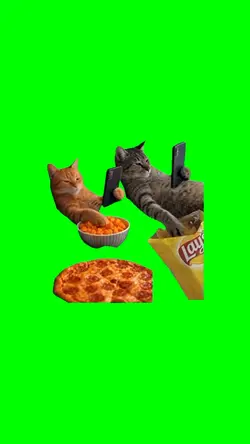 2 Cats Chilling