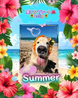 Summer/2clip