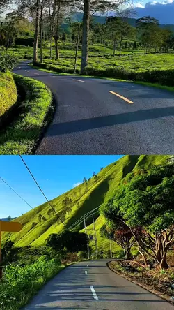 2 video kolase