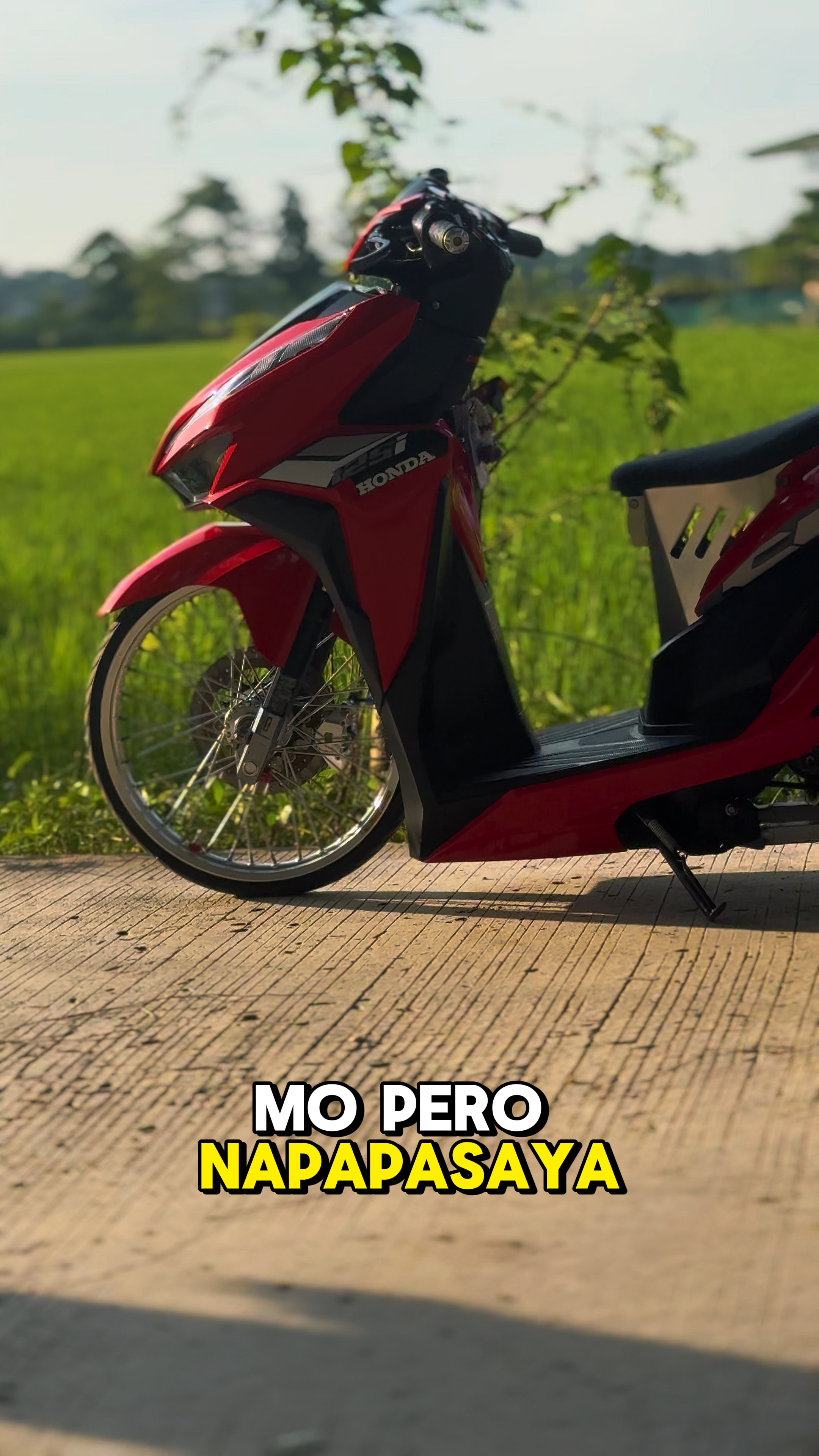 MOTOR QUOTES
