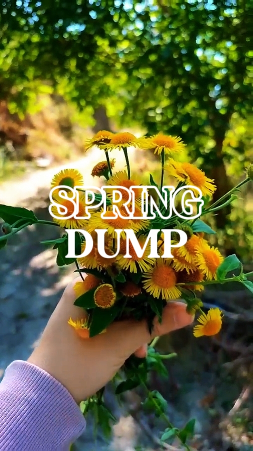 Volcado de primavera