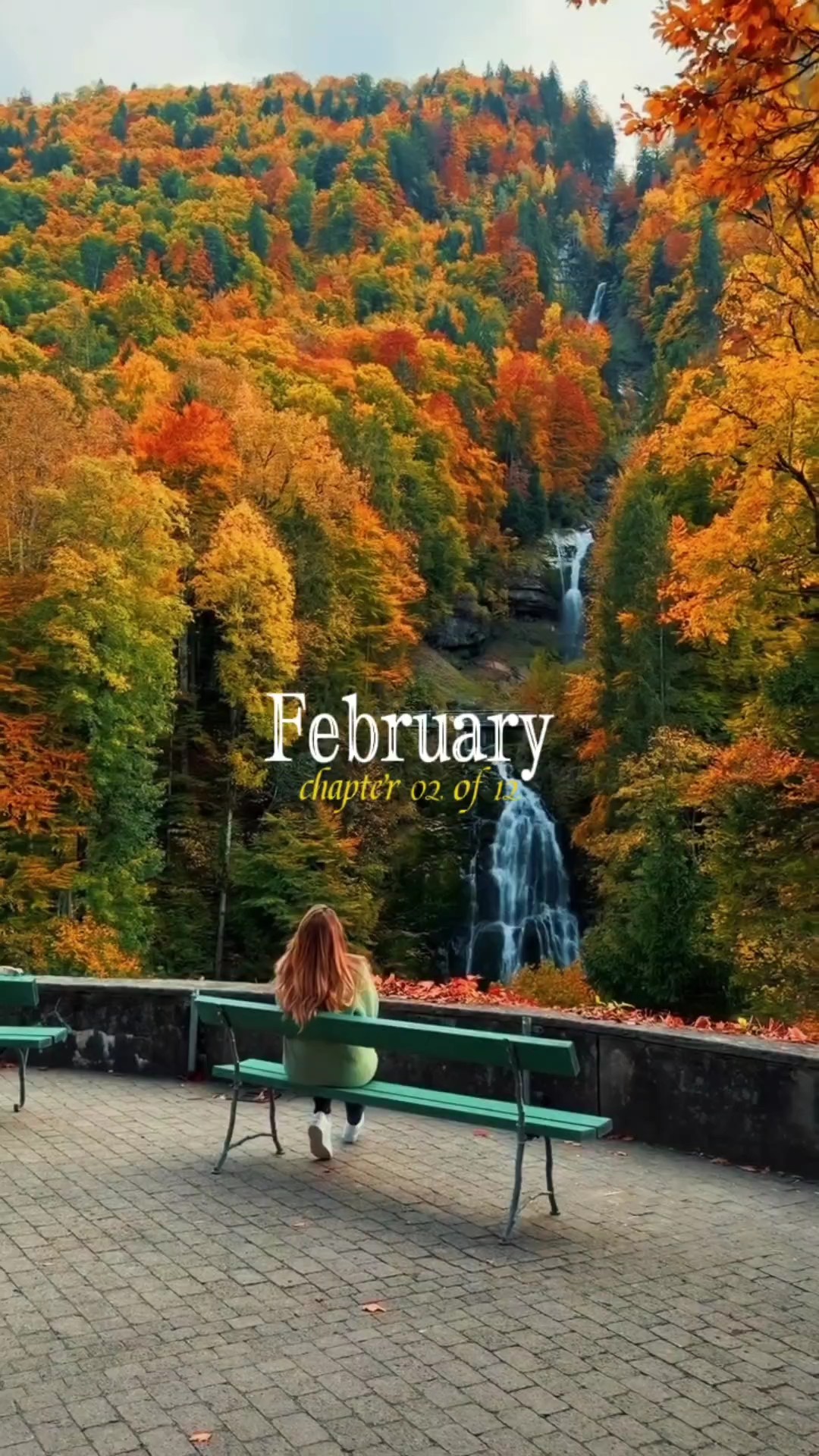 Capítulo 02 de febrero 