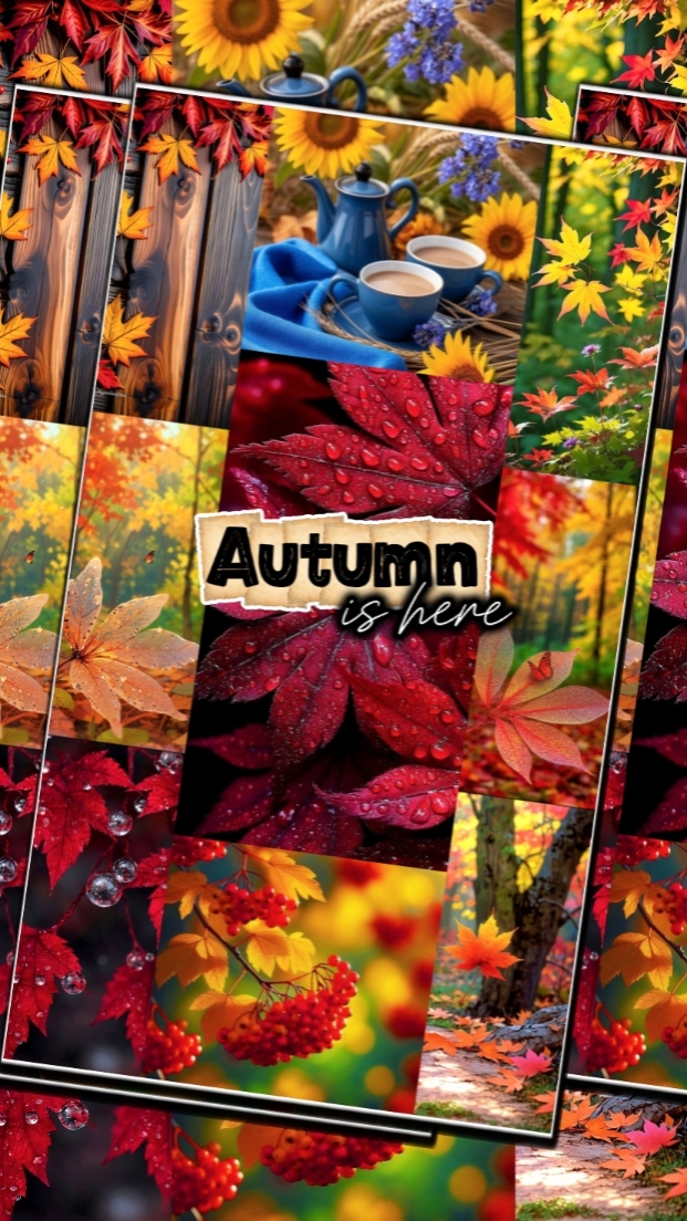 Autumn is here