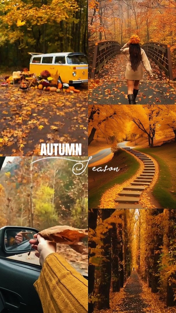 Saison d'automne