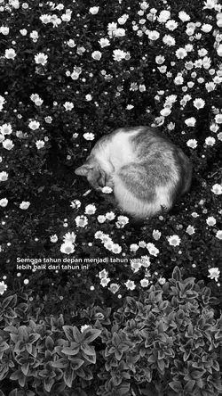 1 Foto Kata-Kata Sad