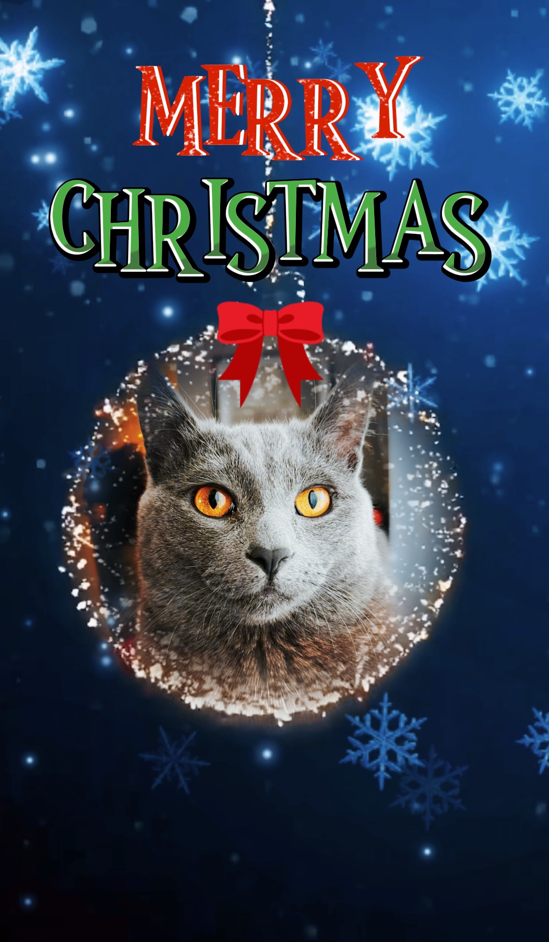 Gatinho de natal 