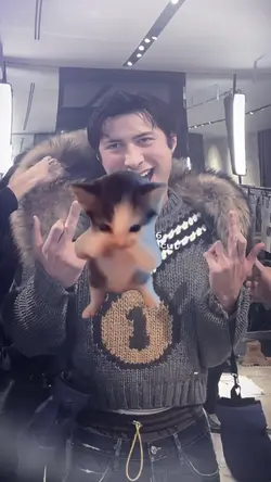 NO MIRROR KUCING