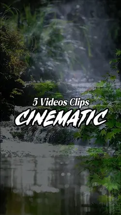5 Videos Clips