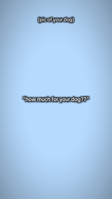 ¿Cuánto para tu perro?