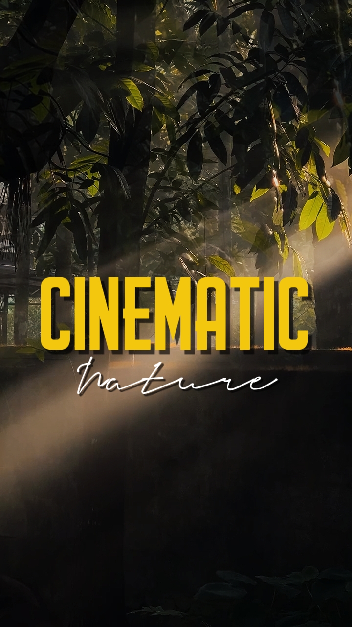 NATURE CINÉMATIQUE 