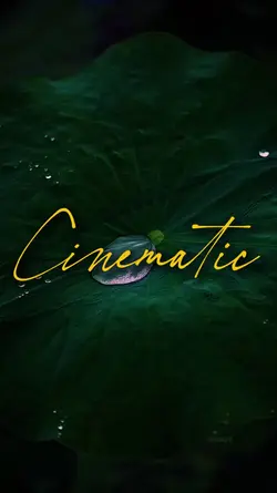 3 CLIPS CINEMATIC 
