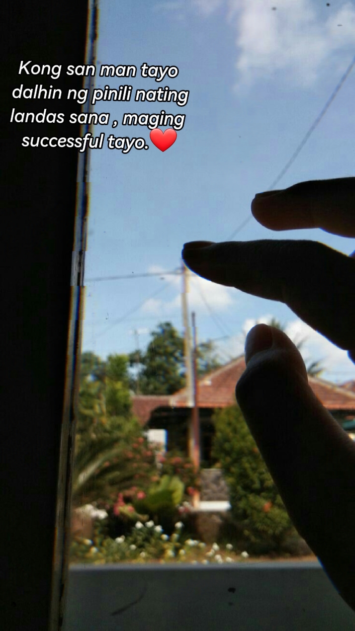 Cita a vida