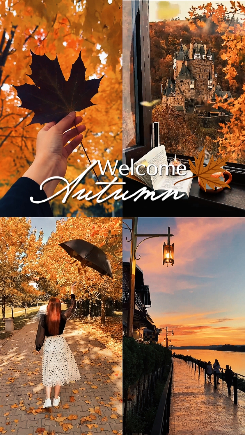 Bienvenido Otoño 