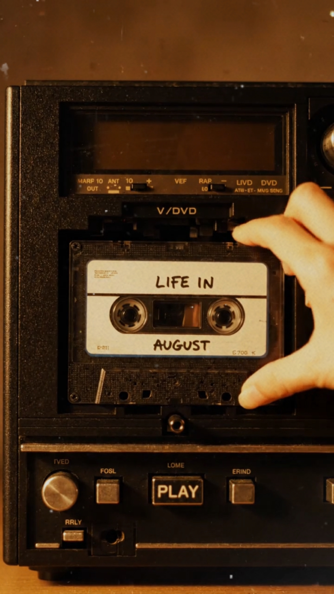 LA VIDA EN AGOSTO
