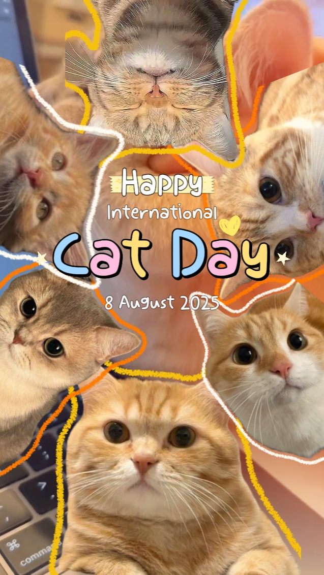 Catday Internasional