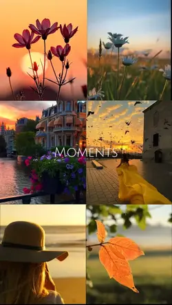 Moments