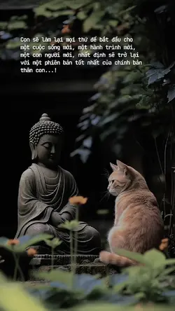 Caption & màu