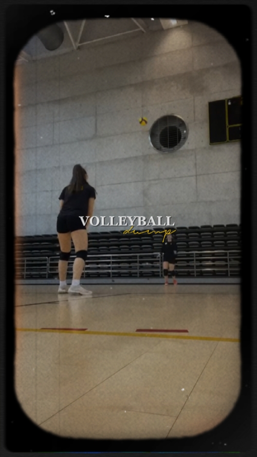 Volleyball Dump