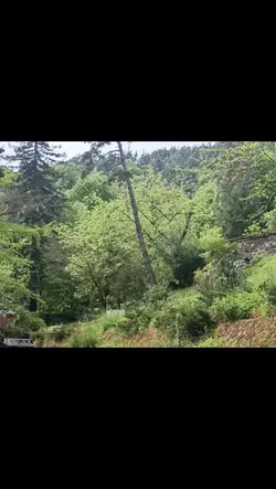 Kavuşmamız söyle