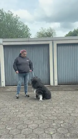 Hund mit Frau 