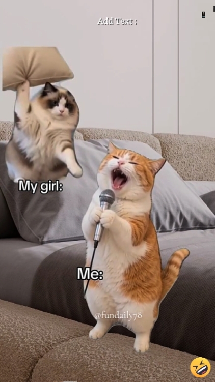 Chat drôle