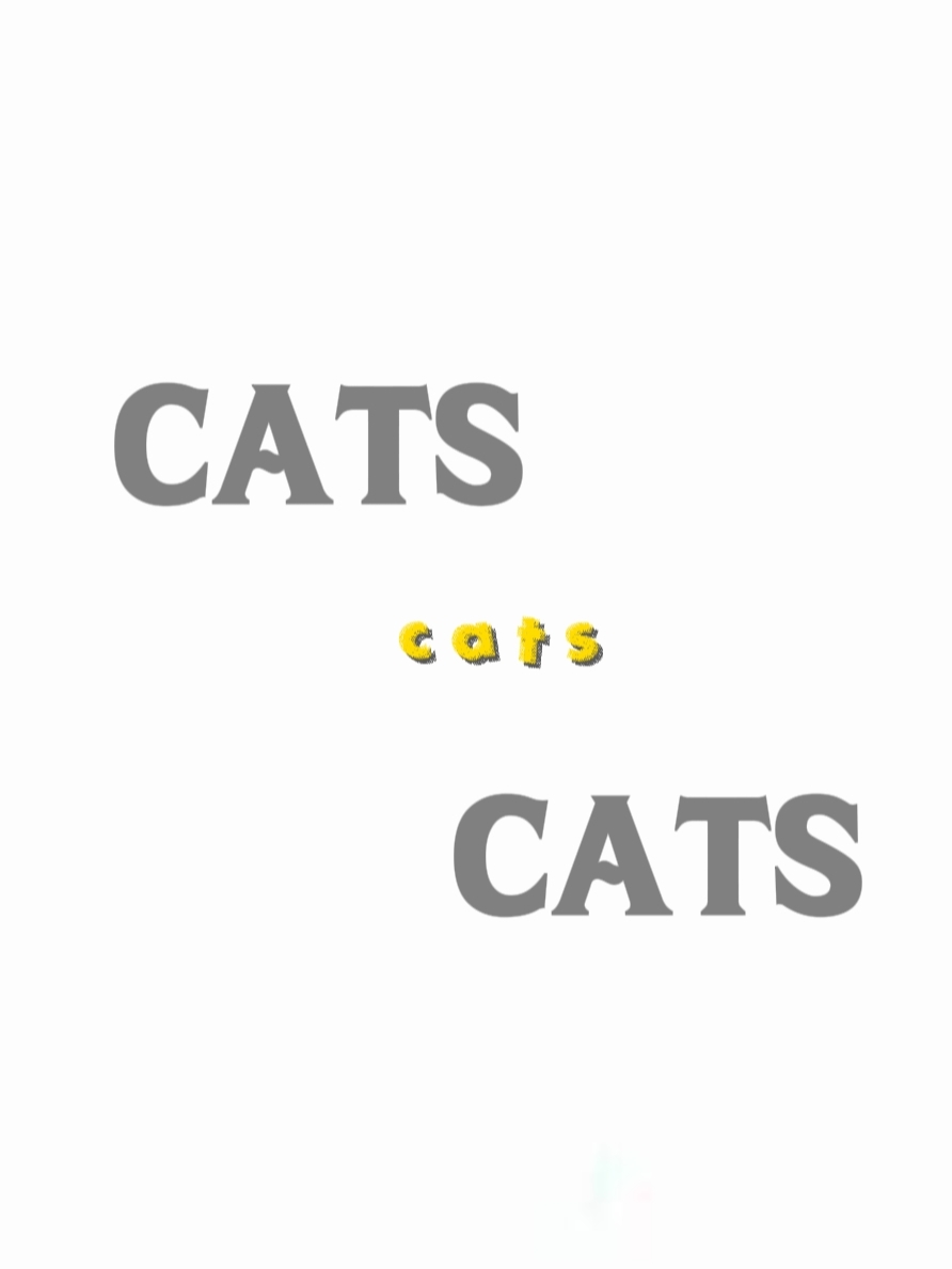  Katzenliebhaber 