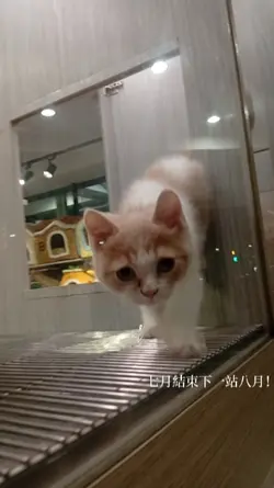 日常碎片