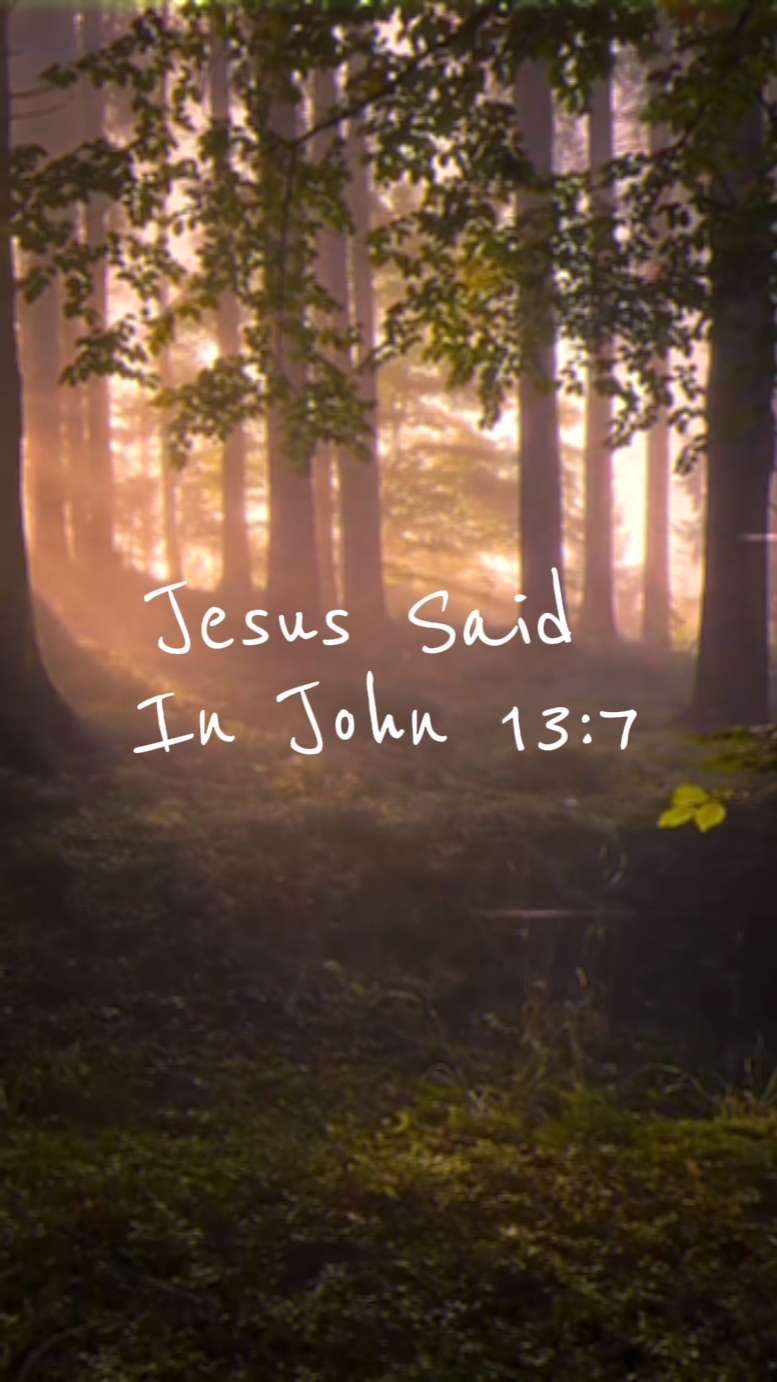 João 13: 7