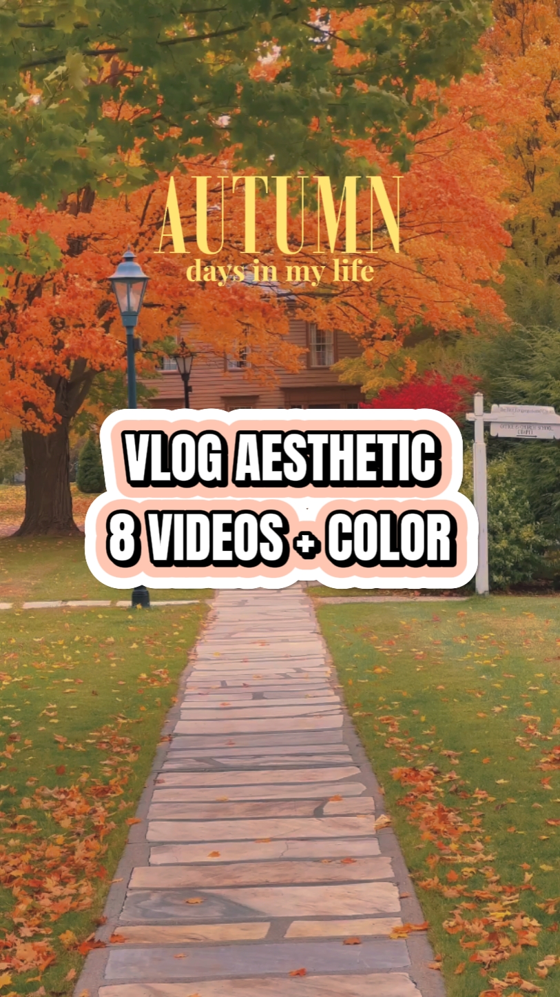 Autumn vlog