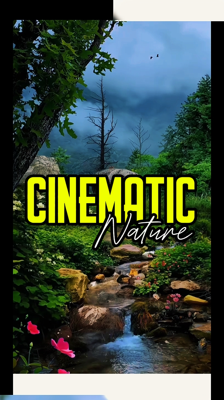 CINEMATIC
