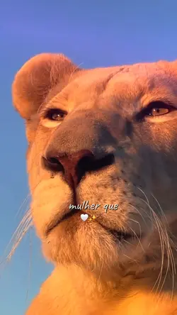 mulher forte Bom dia