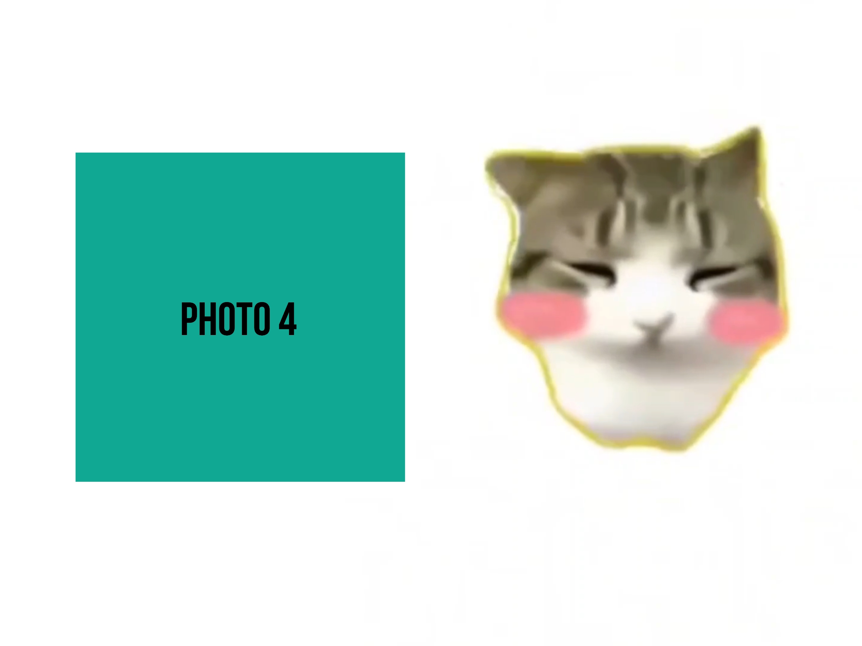 댐 디 