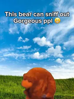 Sniffer bear π»