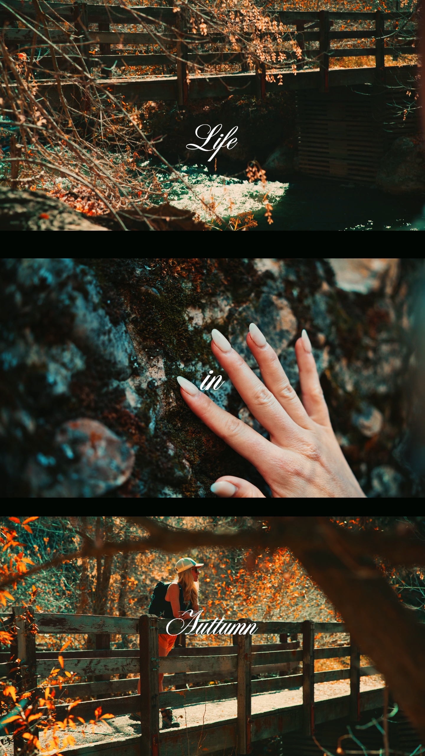 Nature therapy