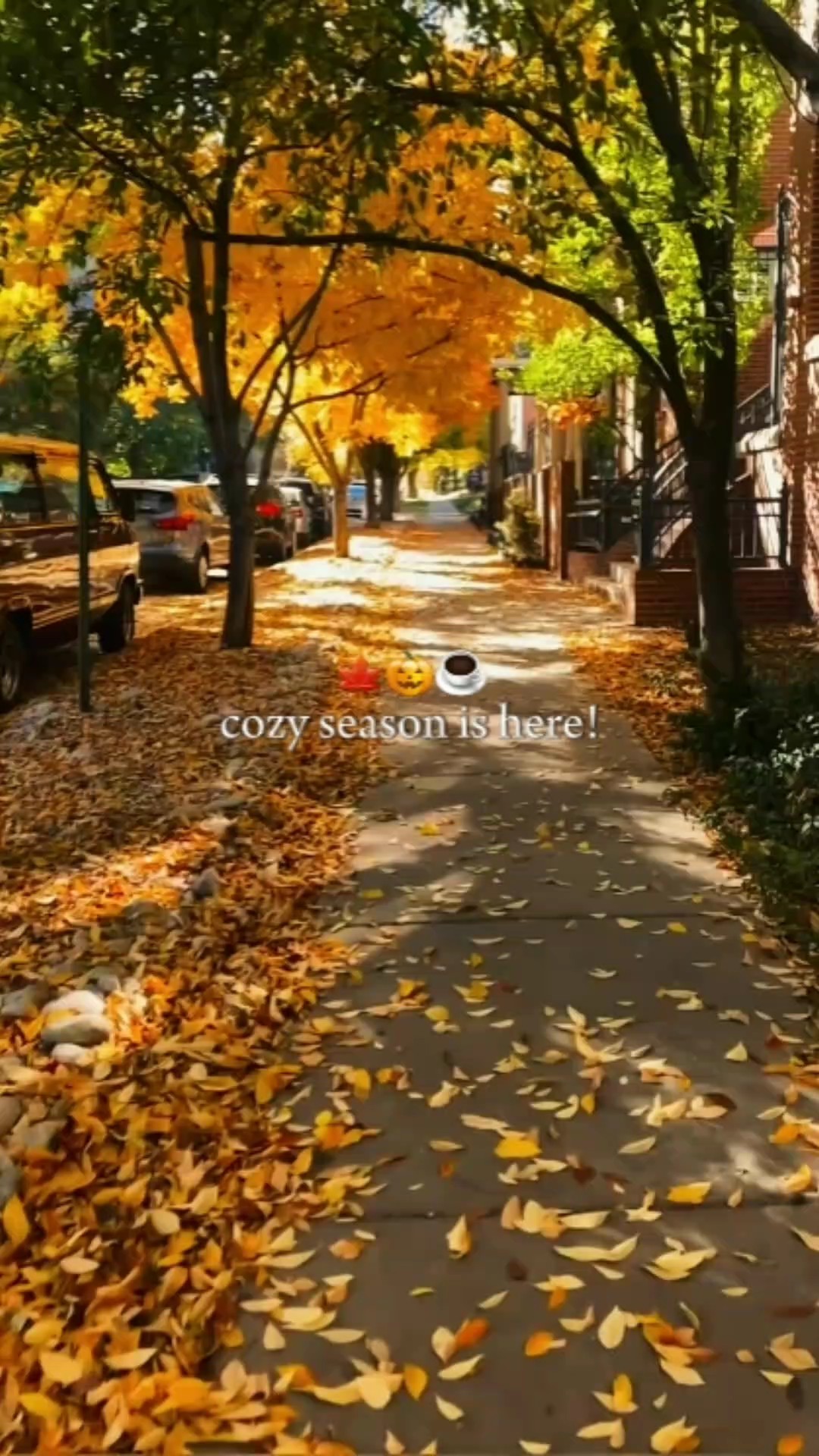 Cozy Season
