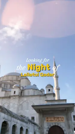 Looking for the 