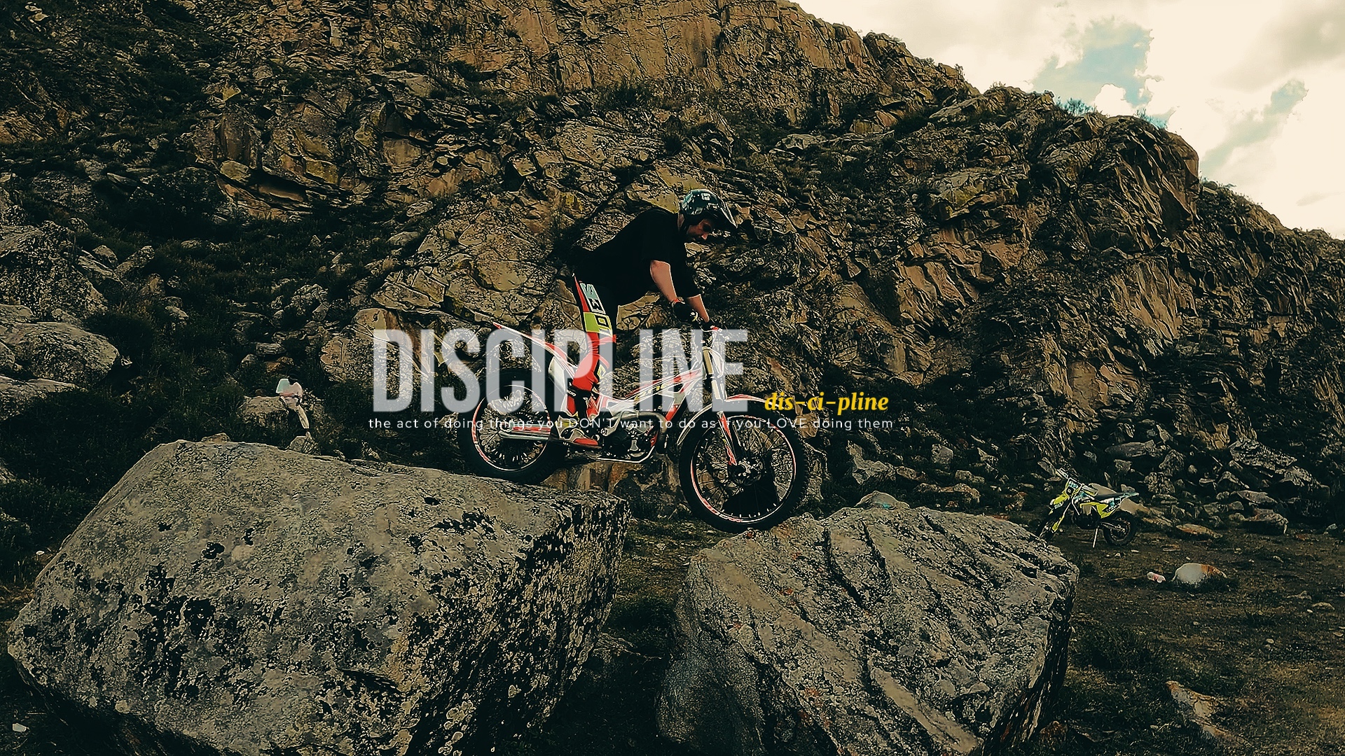 Discilpina