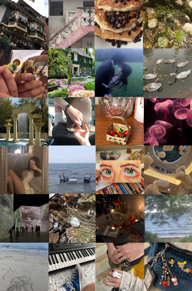 24 Foto