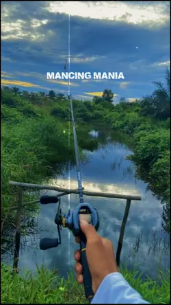 MANCING MANIA