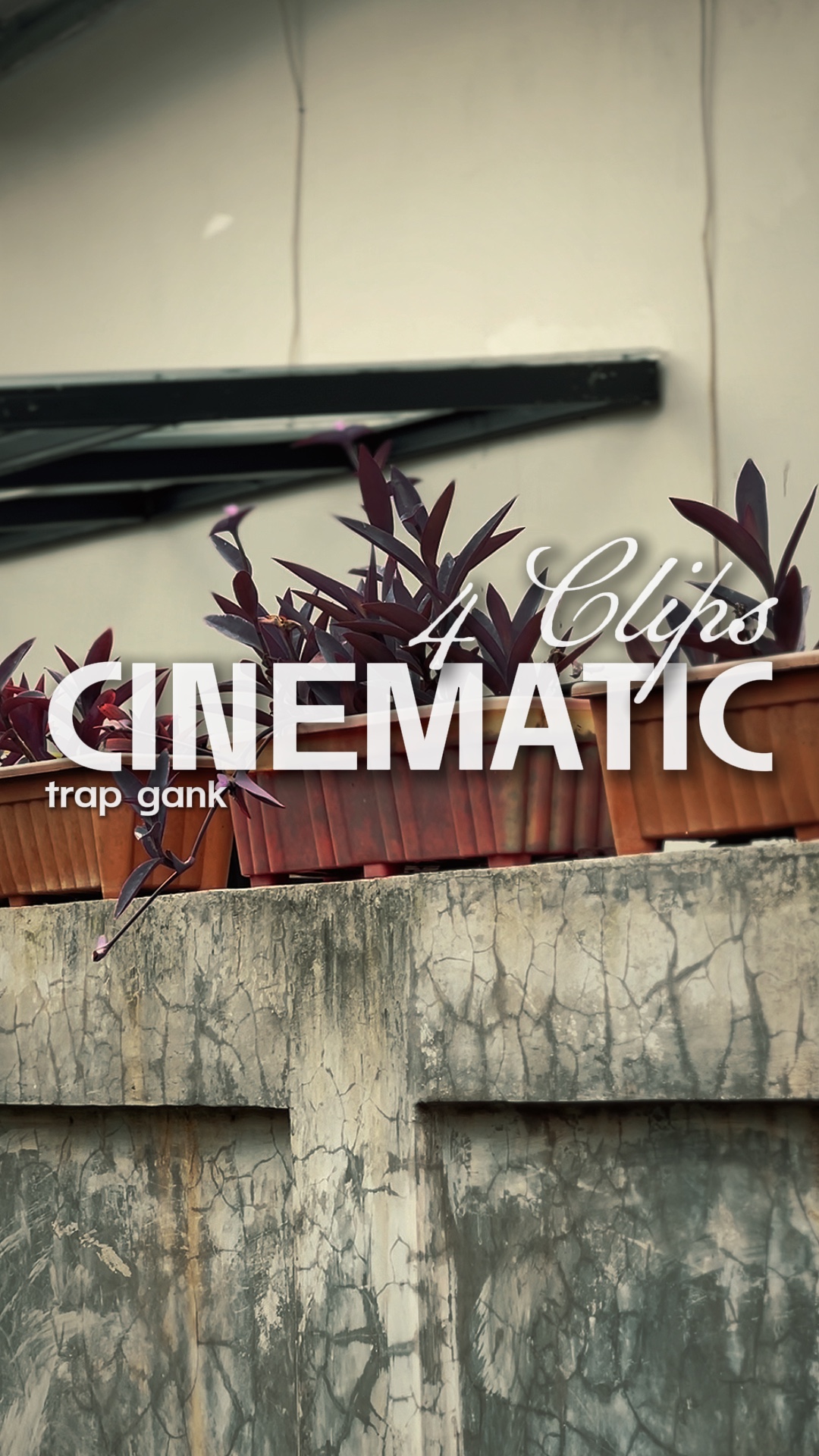 Trap gank 