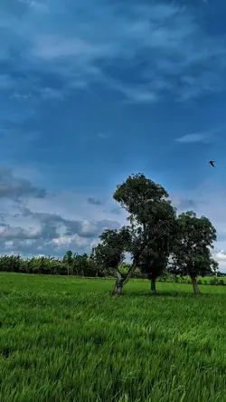 HDR SYAHDU