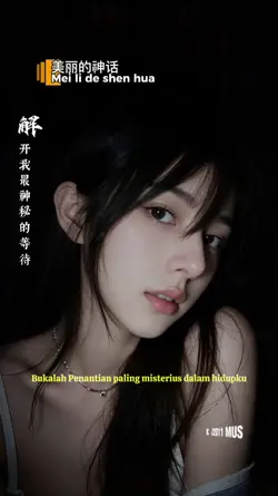 mei li se den hua