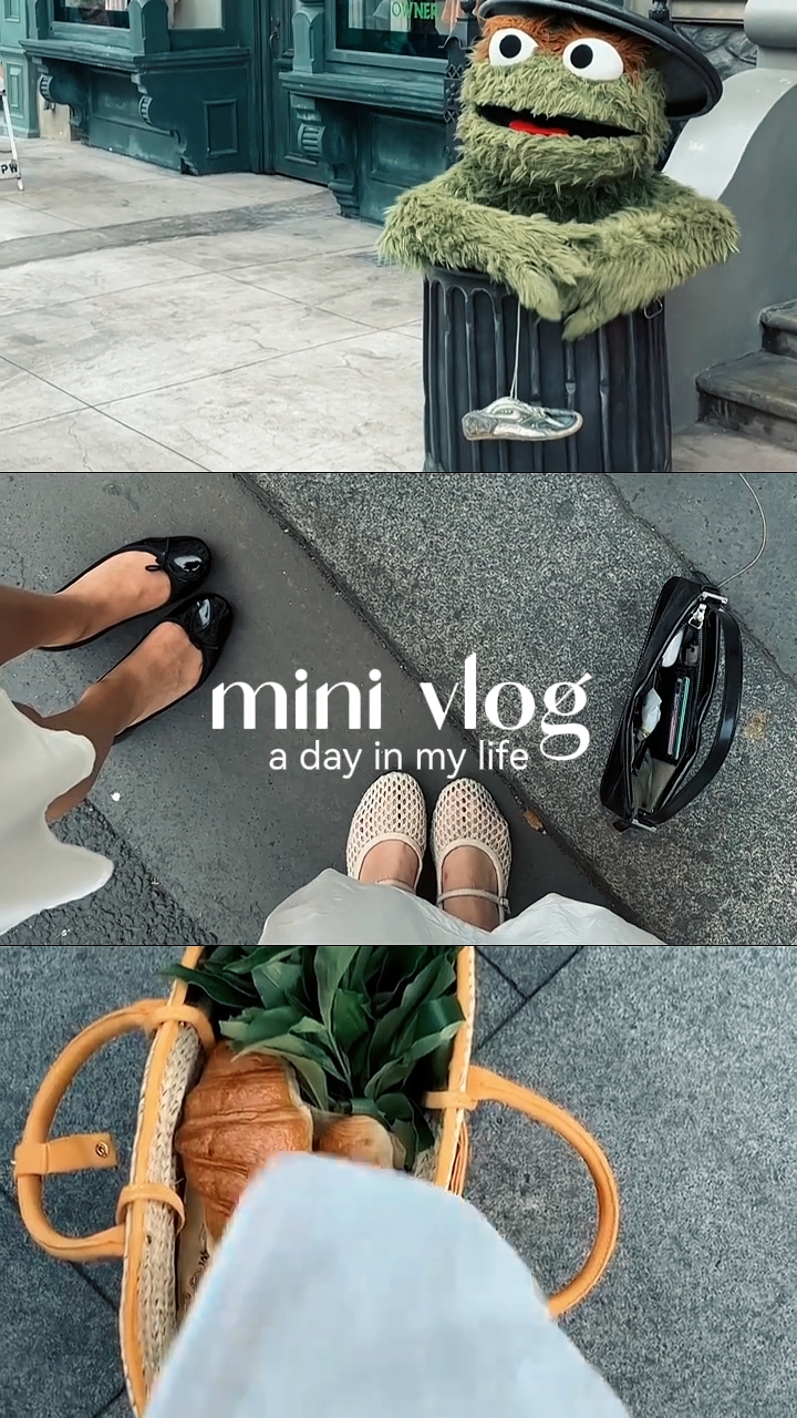 vlog mini