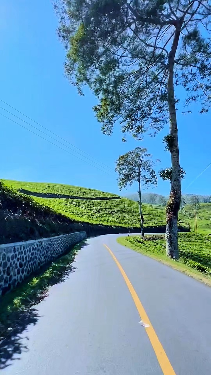 6 road trip vidéo